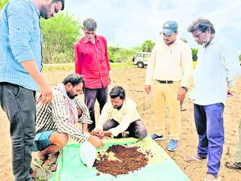 మట్టి