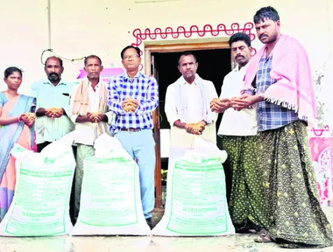 నాణ్యత... దేవుడికెరుక!