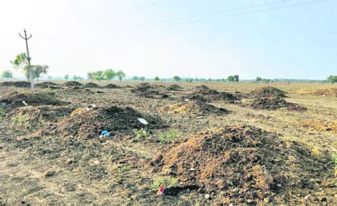 సేంద్రియ ఎరువుకు డిమాండ్‌ 