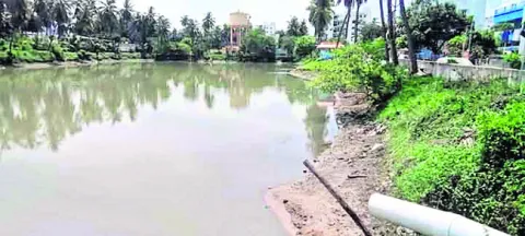 అడుగం