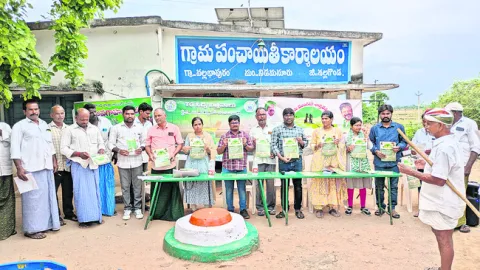 వెదజల్లే పద్ధతితో అధిక దిగుబడులు