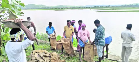 షట్టర