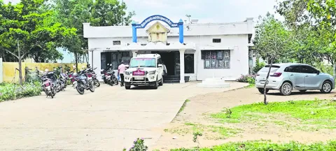 మర్రి