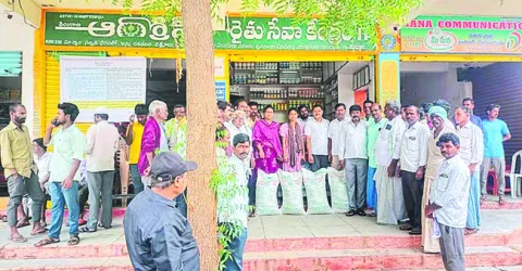 పచ్చిరొట్ట విత్తనాల పంపిణీ 