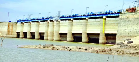 ఈ పను