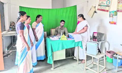 సీజనల్‌ వ్యాధులపై అవగాహన కల్పించాలి 