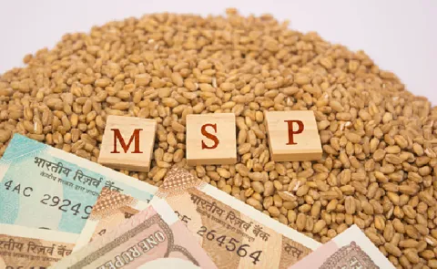 Cabinet approves MSP for Kharif Crops for Marketing Season 2025-2613