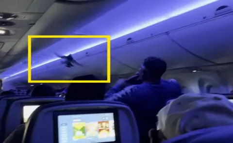 Pigeon flies into US flight cabin