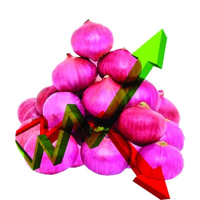 స్వల్పంగా పెరిగిన ఉల్లి ధర 
