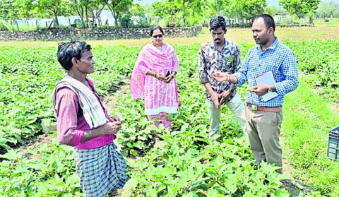 కూరగా