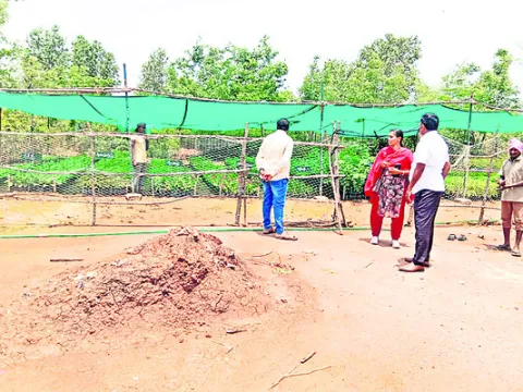 నర్సర