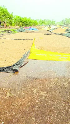 వడగళ్ల బీభత్సం