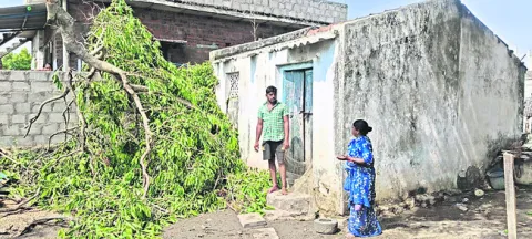 ఈదురు