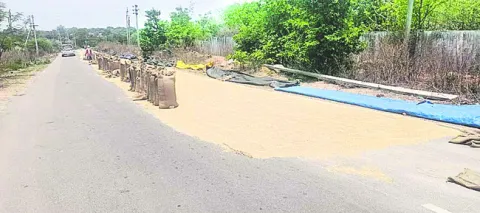 రోడ్ల