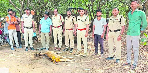 రాష్ట
