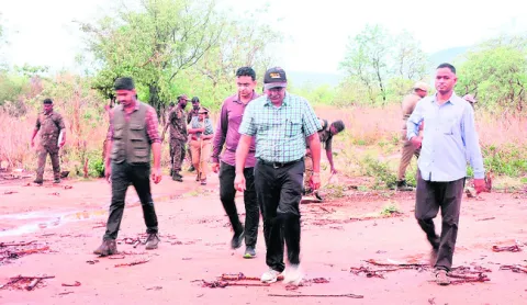 పెద్ద