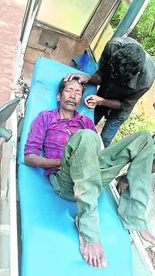 తేనెటీగల దాడిలో గిరిజనుడికి తీవ్ర గాయాలు