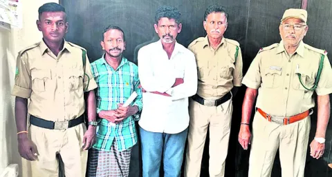 ఎర్రచందనం కేసులో ఇద్దరికి జైలుశిక్ష 
