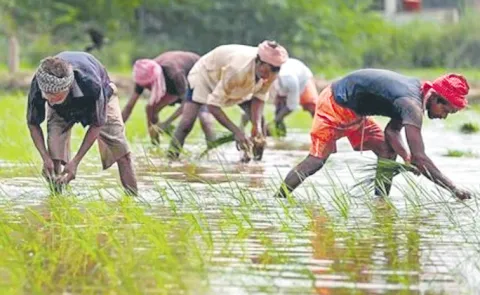 rains expected to boost agriculture growth