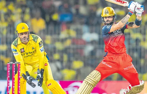 Royal Challengers Bangalore will face Chennai Super Kings today5