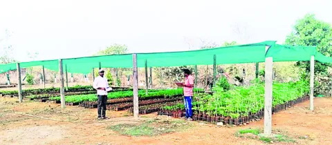 నీడ మ