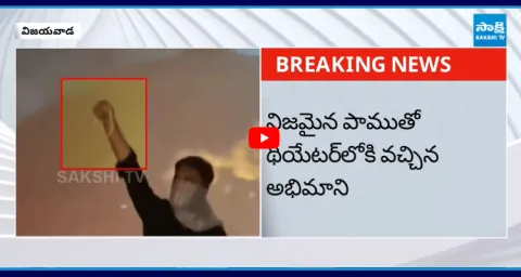 Mahesh Babu Fan Brought A Snake Into The Theatre 2