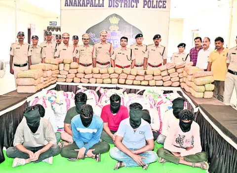 ఆయిల్‌పామ్‌ తోటలో గంజాయి డంప్‌ 