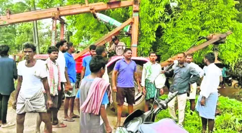 విద్య