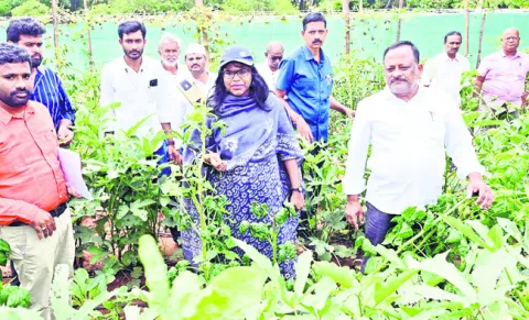 ప్రకృతి వ్యవసాయానికి ప్రోత్సాహం 