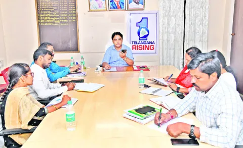 నాణ్యమైన విత్తనాలు ఎంచుకోవాలి