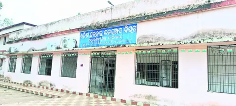 విజిల