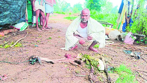 గుర్త
