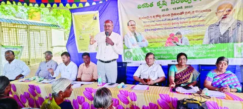ఏక పంట విధానం వద్దు 