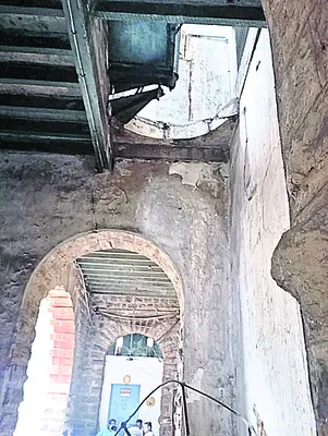 డీటీవ