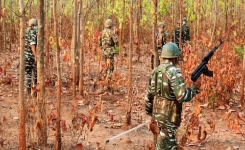 Operation Kagar: Venugopal article development and deforestation