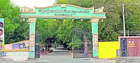 జెడ్ప