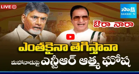 NTR Self Deprecation In TDP Mahanadu In Kadapa 2