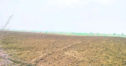 సలహాలు కరువు