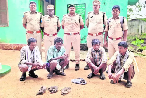 నలుగురు వేటగాళ్లు అరెస్ట్‌ 
