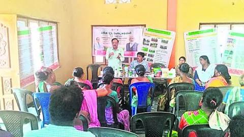 మామిడిని సహజంగా మగ్గించాలి 