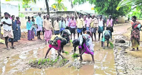 రోడ్డుపై వరినాట్లు!