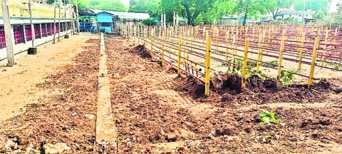 మేడార