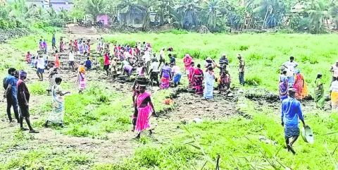 బాకా 