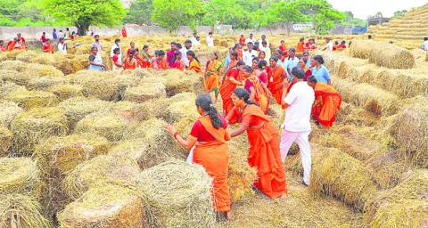 సేవ.. స్వచ్ఛంద తోవ