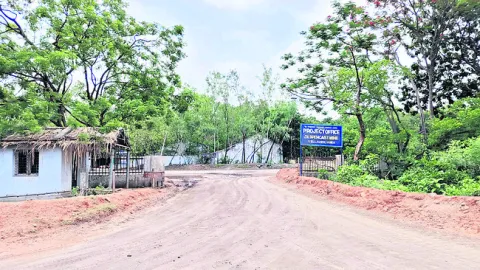 త్వరల
