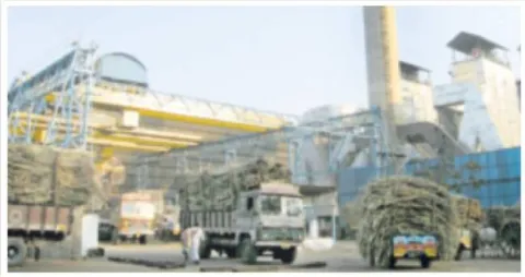 మనుగడ ప్రశ్నార్థకం