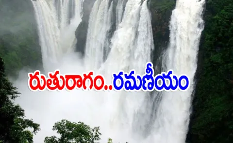 Rainy season beautiful waterfalls in Karnataka12
