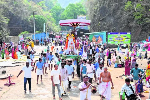 హంస వ