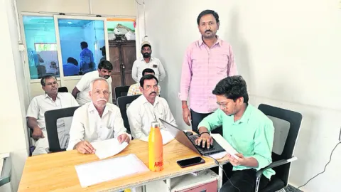 జిల్ల