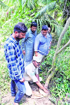 గంధపు చెట్లు నరికివేతపై ఫిర్యాదు 